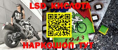 прущие грибы Кунгур