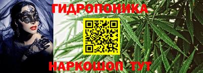 прущие грибы Кунгур