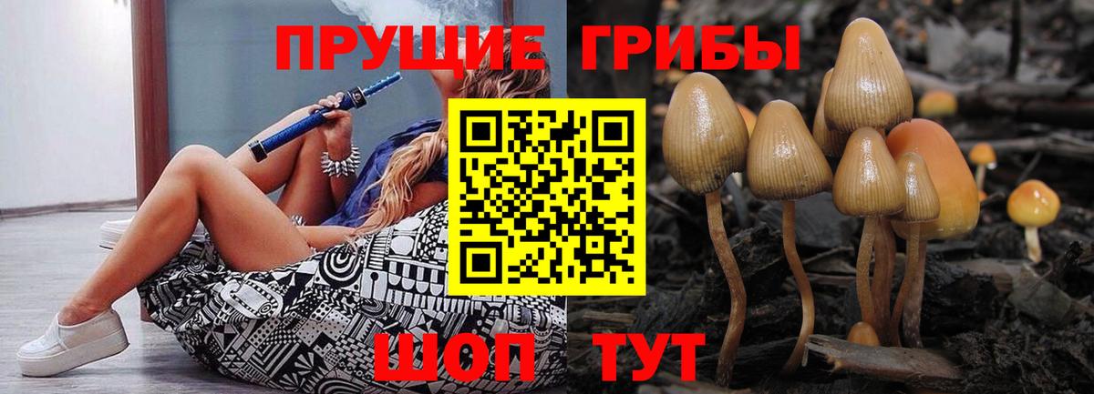 наркотики  Галлюциногенные грибы мицелий  Вход с VPN  Горно-Алтайск 