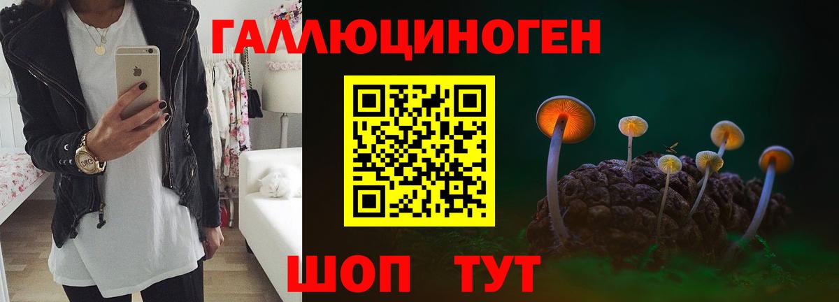 Галлюциногенные грибы ЛСД Горно-Алтайск